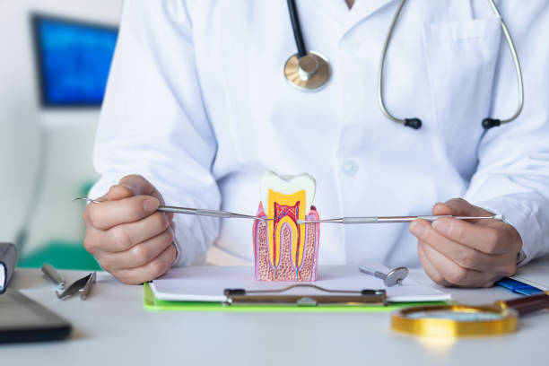 Best Emergency Orthodontic Services in Moody Af, GA